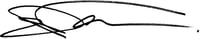 Drew Varnum signature